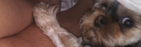 Mykl3030 Profile Banner