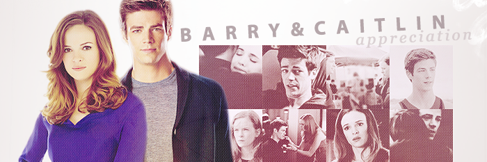 SnowBarryLover's profile banner image