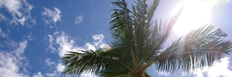 Manjiro YAHAGI banner