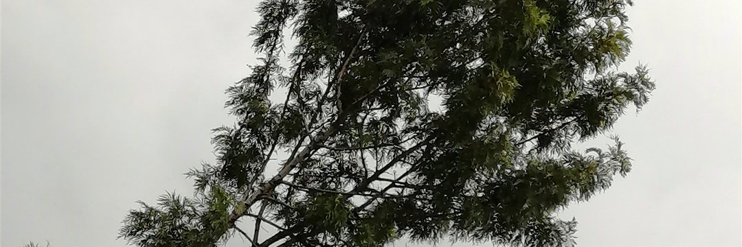Edwin_Mutuma7's profile banner image