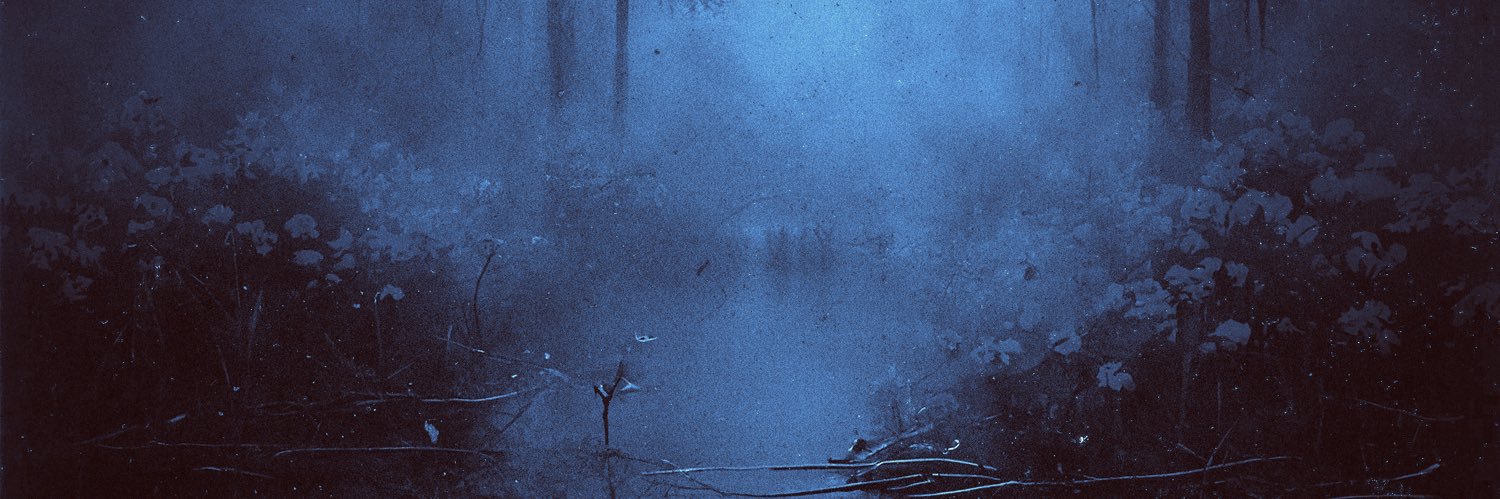 OceanShrine's profile banner image