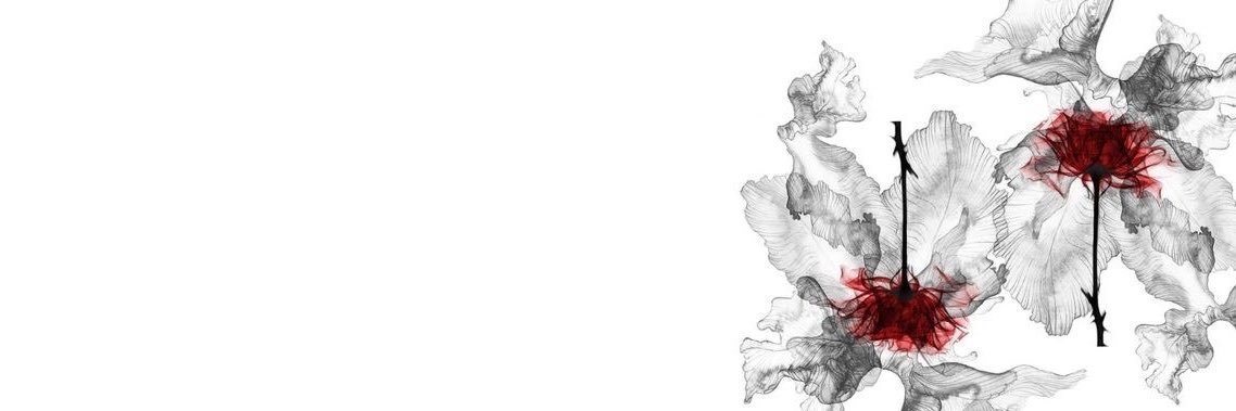 ْ banner