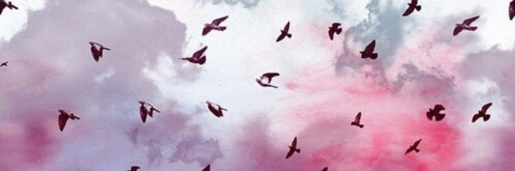 Sharon_K_Gill's profile banner image