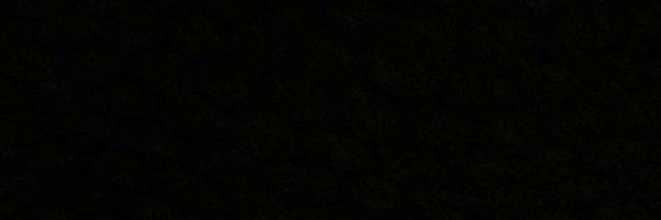 Spookasaurus1's profile banner image