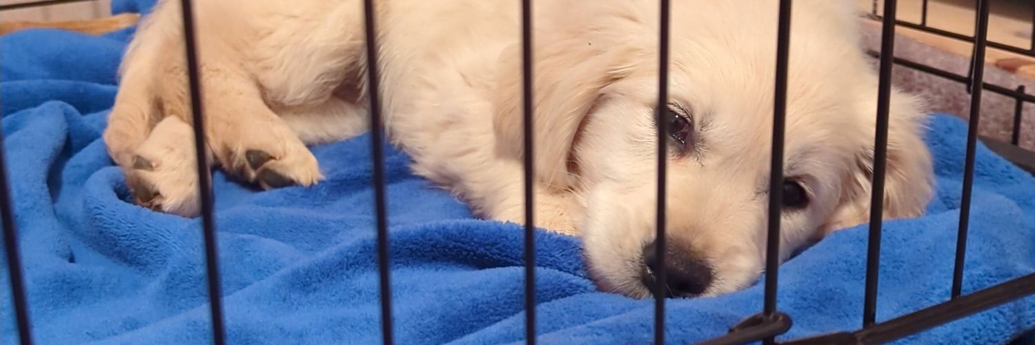 ספיריטואלי מיסיס banner