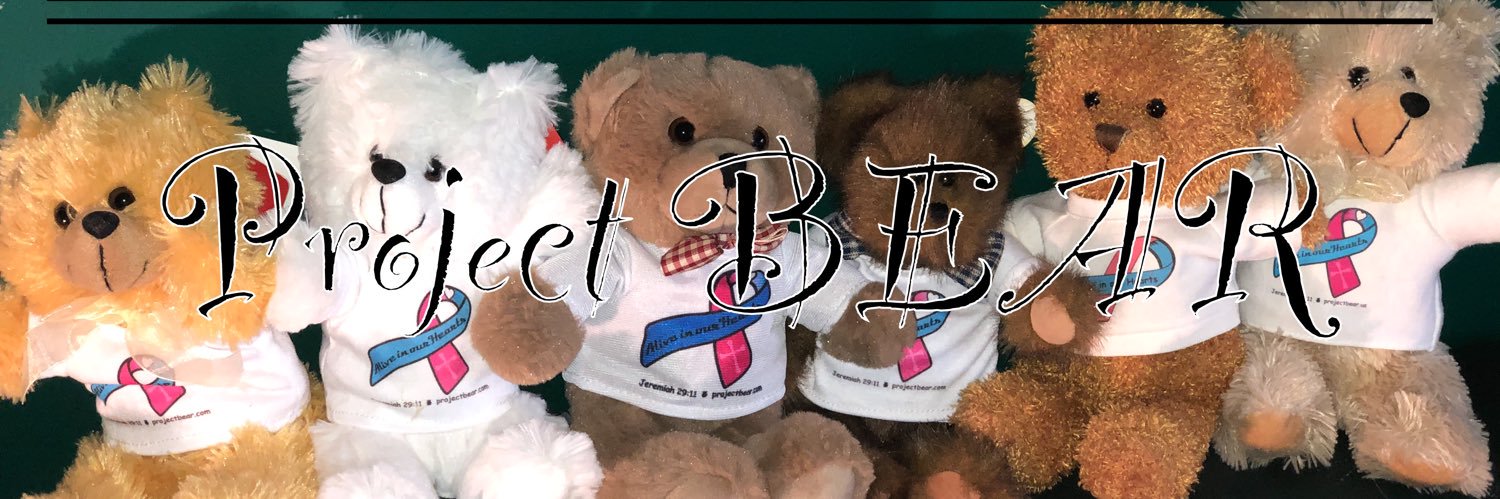 Project BEAR 🧸 banner