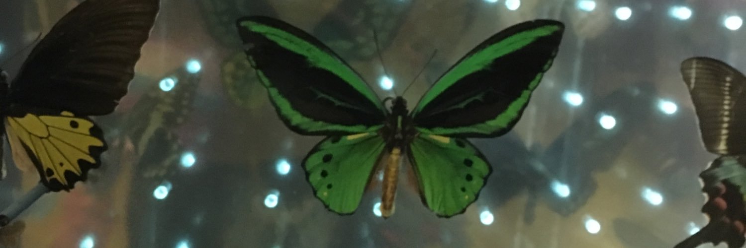 BrezoCordero's profile banner image