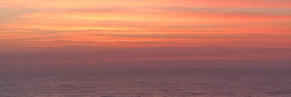 mattkibby Profile Banner