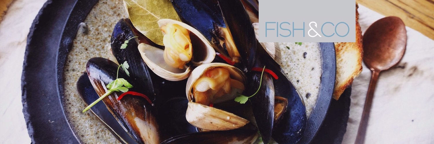 fishandco1's profile banner image