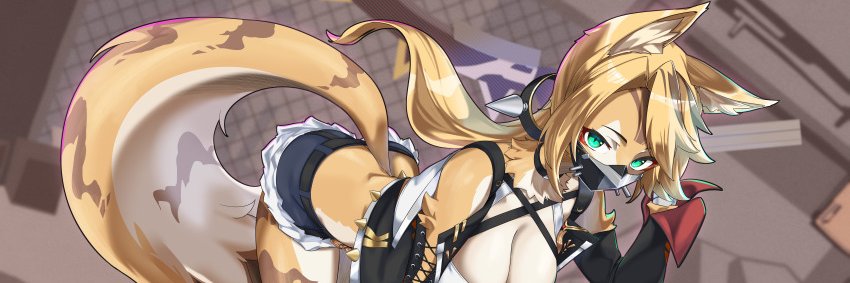 𝓕𝓪𝓷𝓽𝓲𝓷𝓪 𝓕𝓮𝓵𝓲𝓬𝓲𝓽𝔂 banner