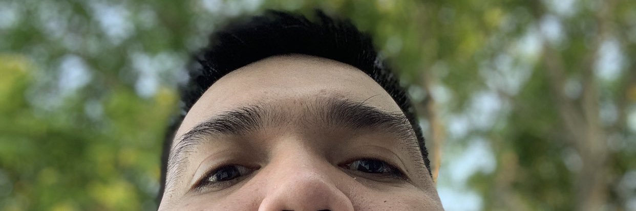 LManganar's profile banner image
