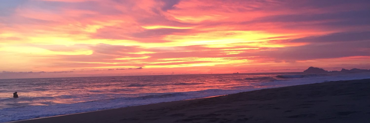alicortiz's profile banner image