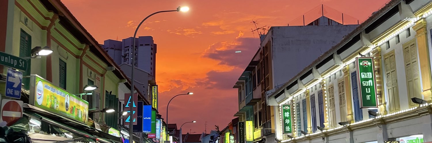 Terri-Anne Teo banner