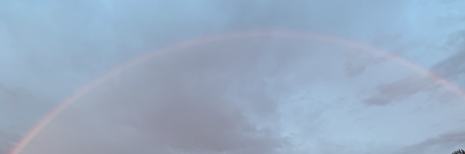 ringonoosake's profile banner image