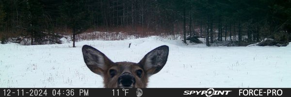 Crypto_peanut99 Profile Banner