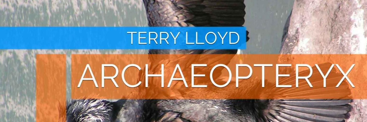 meterrylloyd's profile banner image