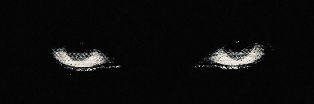 𝐓𝐫𝐢𝐧𝐞𝐥𝐲 𝐋𝐮𝐳 banner