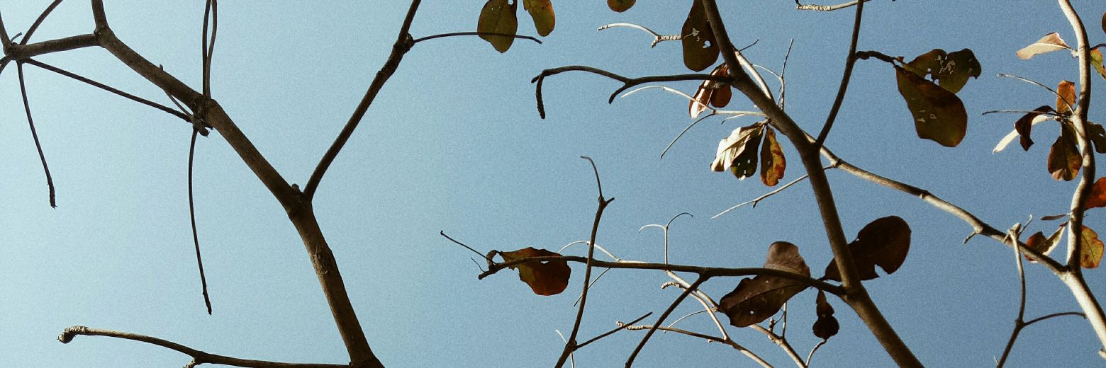 gwowi_'s profile banner image