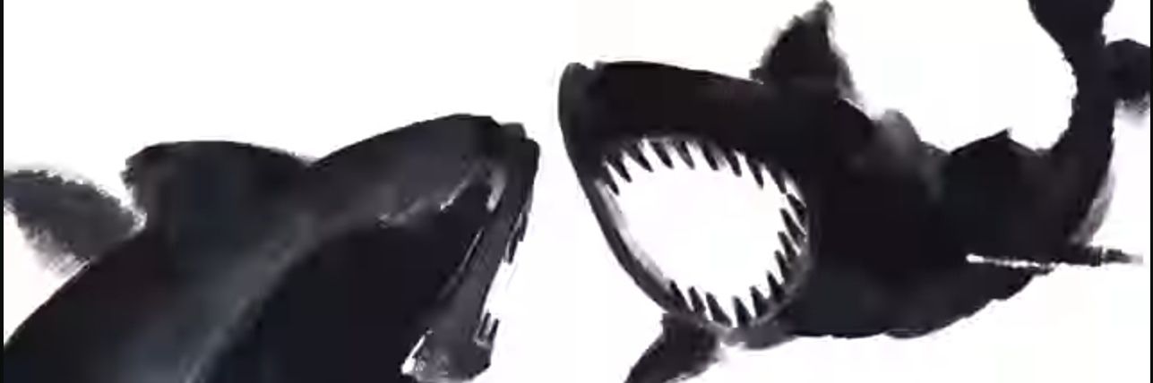 DeadbeatShork banner