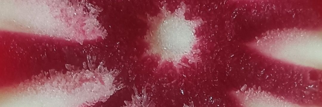 Flora3101's profile banner image