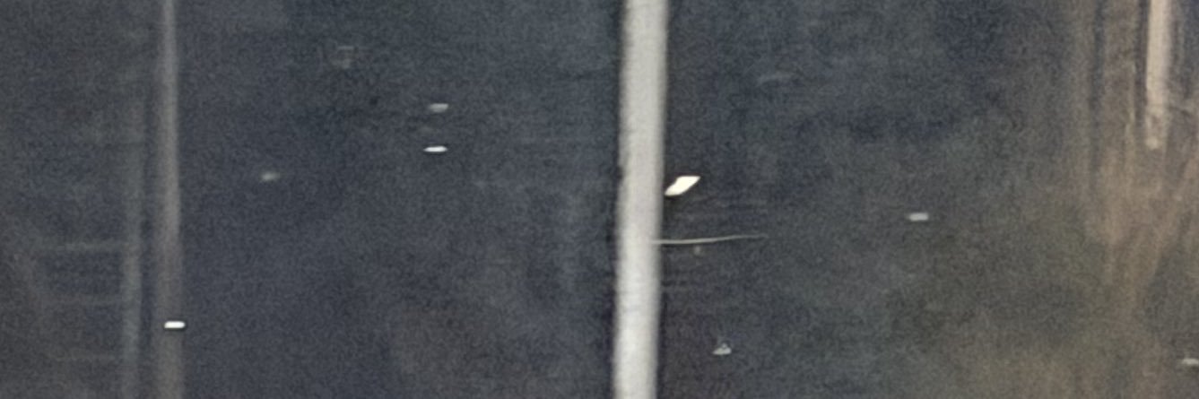 ditsy banner
