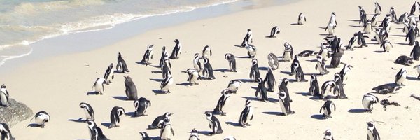 hermineG101 Profile Banner