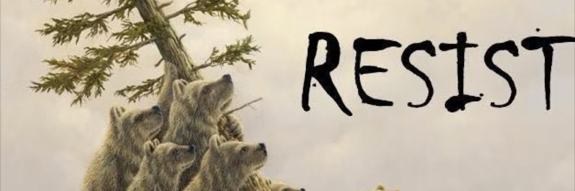 Colliemom1926's profile banner image