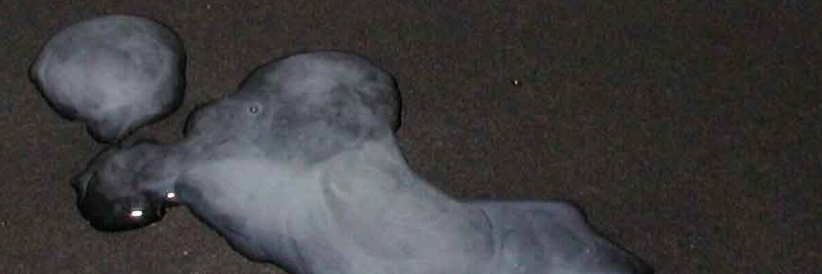 nexus13x's profile banner image