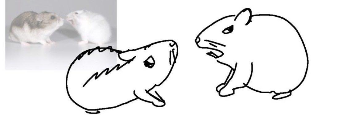 RawrNyan's profile banner image