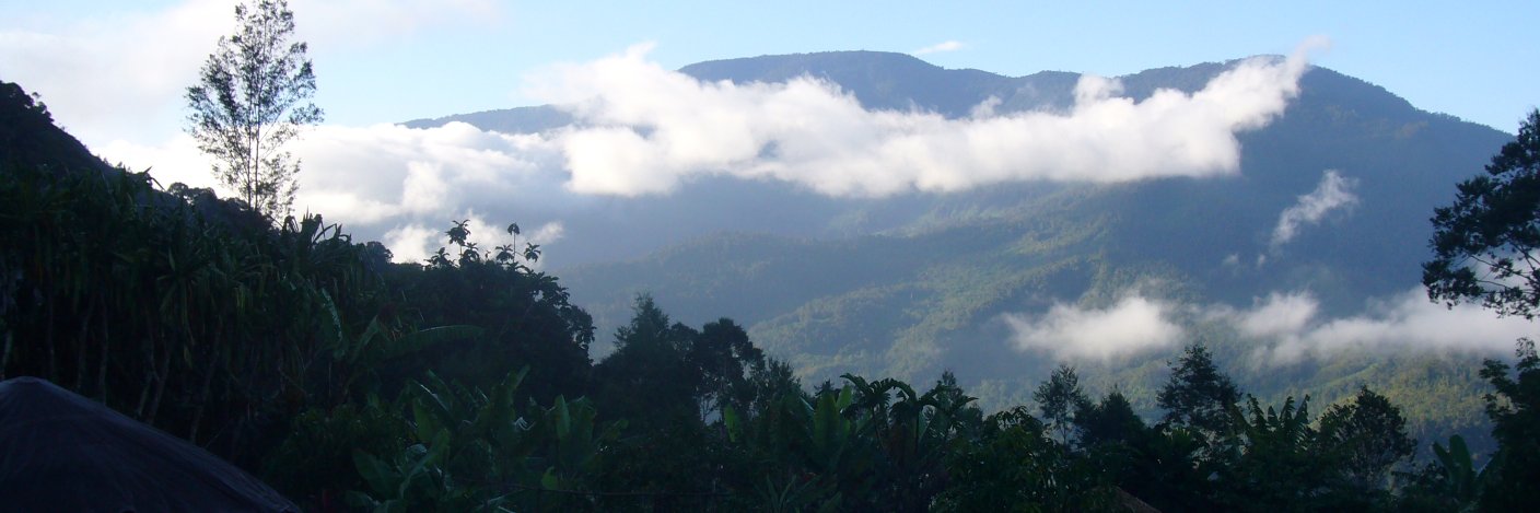 Remco van de Pas @rvandepas.bsky.social banner