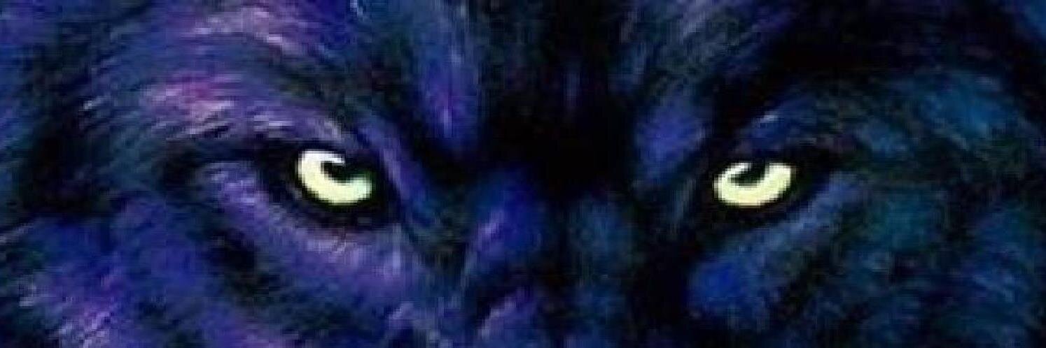 Lunarwolf2032's profile banner image