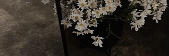 opor_441's profile banner image