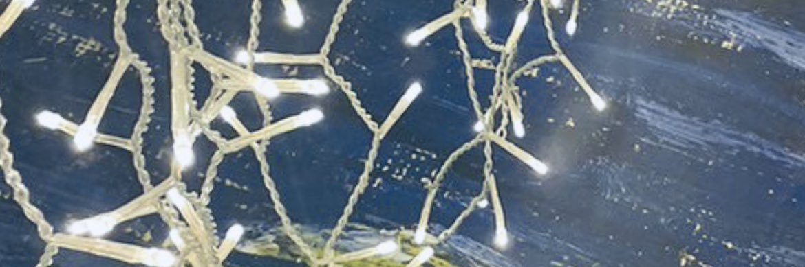 Ｒ banner