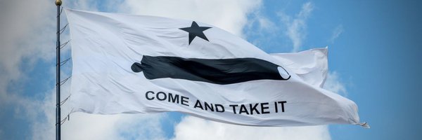 2nd_Amendment_3 Profile Banner