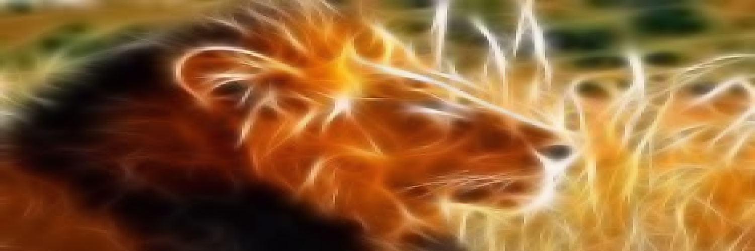 yoquetujc's profile banner image