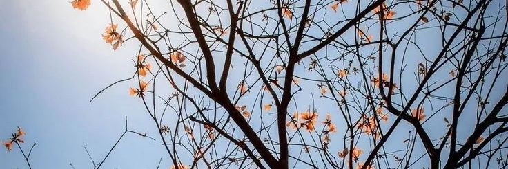 jobayer160's profile banner image