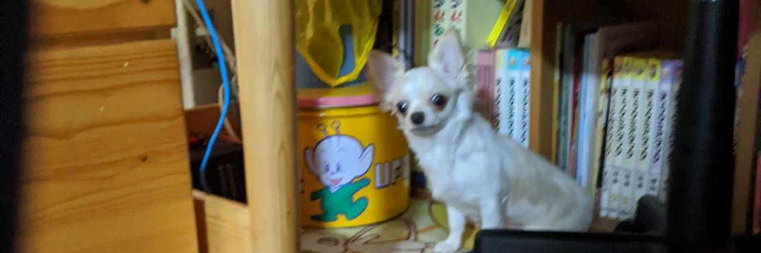 sasye's profile banner image