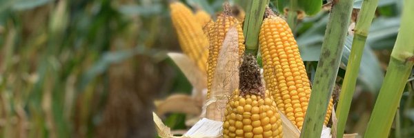 SWIACrop Profile Banner