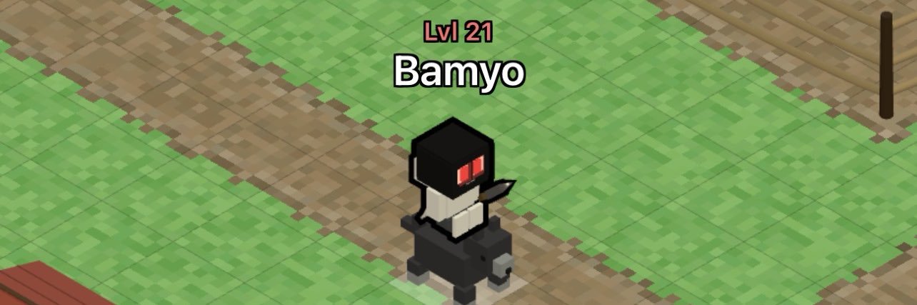 Bamyo banner