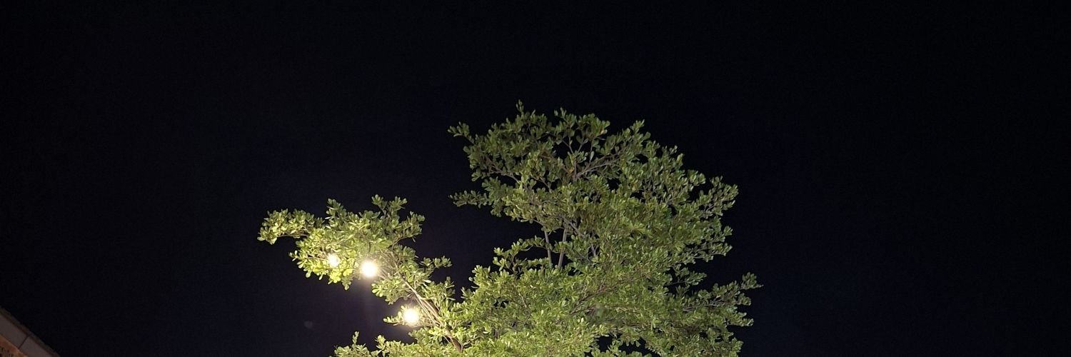Lorkor24's profile banner image