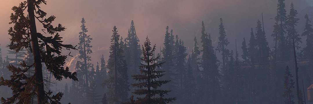 DanArm17's profile banner image