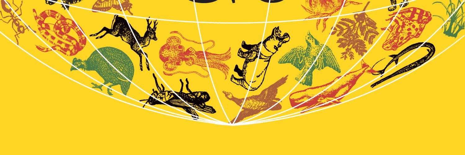 Benjamin von Brackel's banner