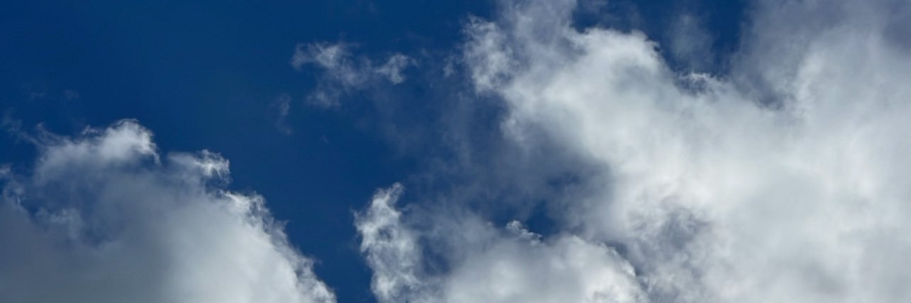 camilaybarc's profile banner image