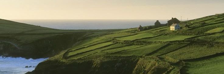 Undertree Corner. (Base Active) banner