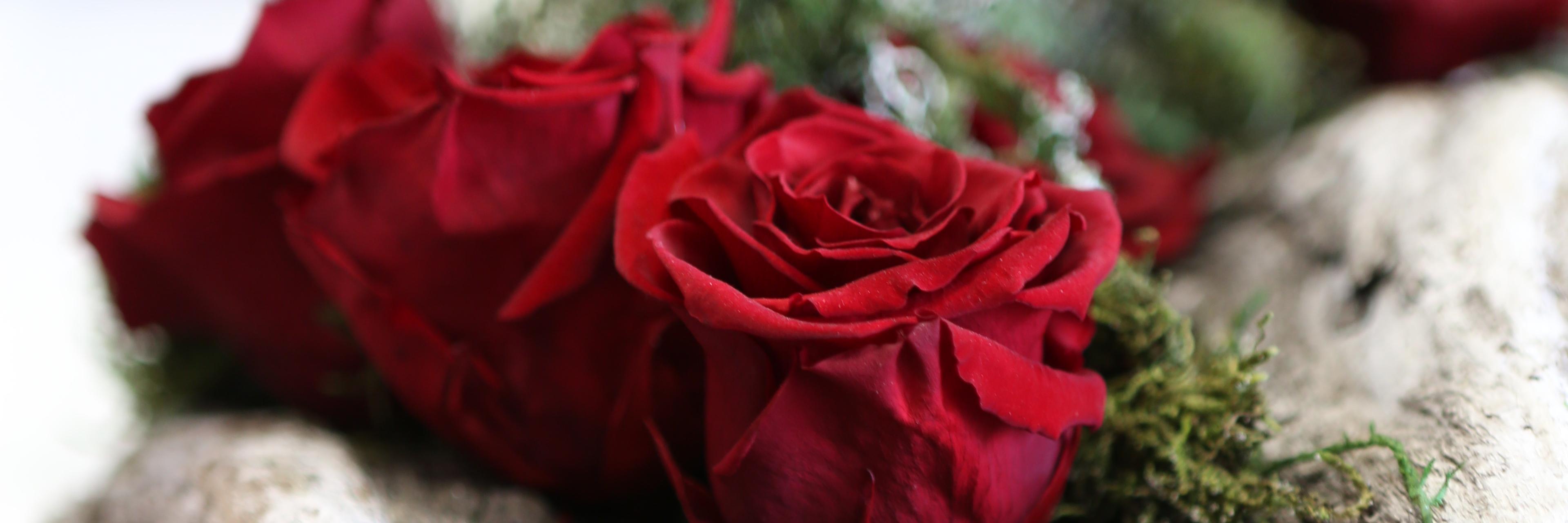 Fleurigros's profile banner image