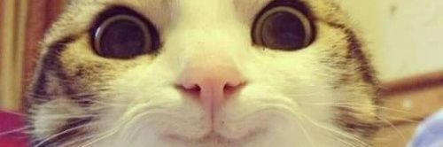 Furiomasters's profile banner image
