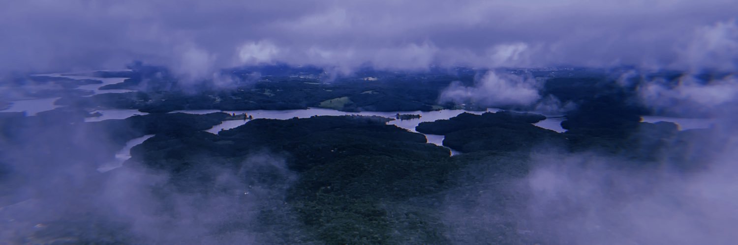 Olívia palito banner