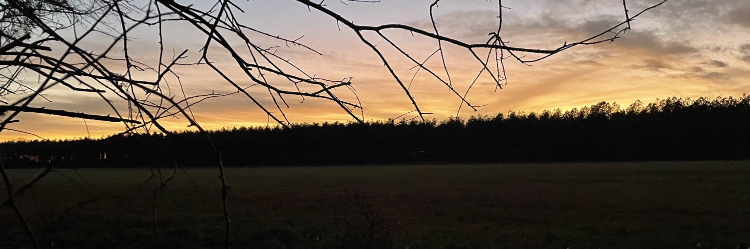 Happylandhunt's profile banner image