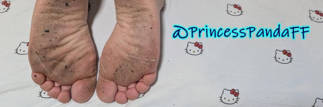 PrincessPanda banner