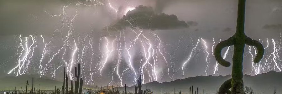 The''Normal''Person banner